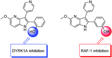 Graphical abstract: Synthesis and biological evaluation of 2,3-bis(het)aryl-4-azaindole derivatives as protein kinase inhibitors