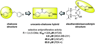 Graphical abstract: Design, synthesis and antiproliferative activity of urocanic-chalcone hybrid derivatives