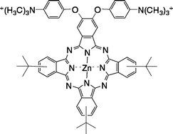Graphical abstract: Syntheses and properties of trimethylaminophenoxy-substituted Zn(ii)-phthalocyanines