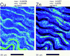 Graphical abstract: Synchrotron radiation X-ray fluorescence microscopy reveals a spatial association of copper on elastic laminae in rat aortic media