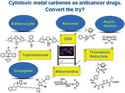 Graphical abstract: Advances in metal–carbene complexes as potent anti-cancer agents