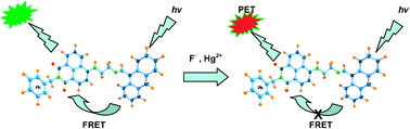 Graphical abstract: An efficient naphthalimide based fluorescent dyad (ANPI) for F− and Hg2+ mimicking OR, XNOR and INHIBIT logic functions