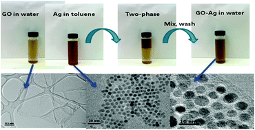 Graphical abstract: Facile synthesis of monodispersed silver nanoparticles on graphene oxide sheets with enhanced antibacterial activity