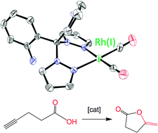 Graphical abstract: Rhodium(i) complexes bearing N-donor ligands: catalytic activity towards intramolecular cyclization of alkynoic acids and ligand lability