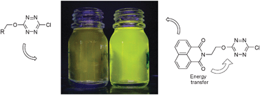 Graphical abstract: Bright fluorescence through activation of a low absorption fluorophore: the case of a unique naphthalimide–tetrazine dyad
