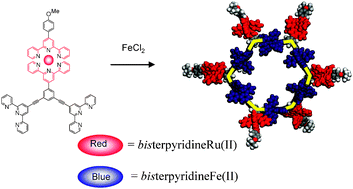 Graphical abstract: A rigid metallohexameric macrocycle composed of endo- and exo-cyclic bisterpyridine-metal complexes