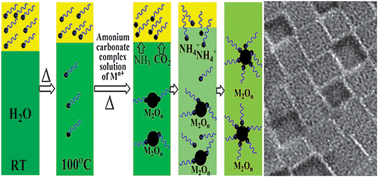 Graphical abstract: Synthesis of nearly monodispersed metal oxide nanoparticles in water