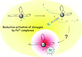 Graphical abstract: Exploring the oxygen sensitivity of FeCl2 complexes with tris(2-pyridylmethyl)amine-type ligands: O2 coordination and a quest for superoxide