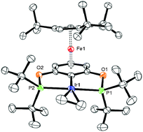 Graphical abstract: [Cp′FeI]2 as convenient entry into iron-modified pincer complexes: bimetallic η6,κ1-POCOP-pincer iron iridium compounds