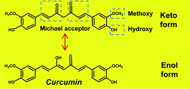 Graphical abstract: Multitargeting by curcumin as revealed by molecular interaction studies