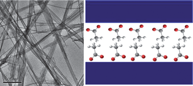 Graphical abstract: General synthesis and characterization of a family of layered lanthanide (Pr, Nd, Sm, Eu, and Gd) hydroxide nanowires