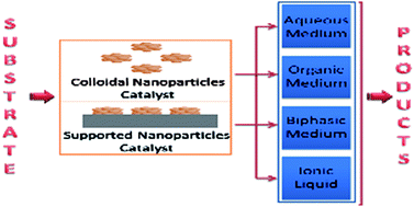 Graphical abstract: Metal nanoparticles in liquid phase catalysis; from recent advances to future goals