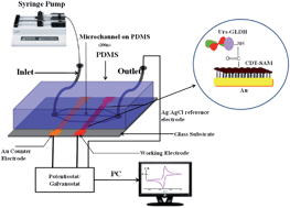 Graphical abstract: A self assembled monolayer based microfluidic sensor for urea detection