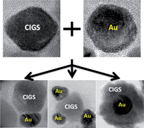 Graphical abstract: Heterostructured CIGS–Au nanoparticles: from Au–CIGS side-by-side structure to Au-core/CIGS-shell configuration