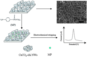 Graphical abstract: Facile fabrication of chitosan–calcium carbonate nanowall arrays and their use as a sensitive non-enzymatic organophosphate pesticide sensor