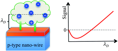 Graphical abstract: Predicting and rationalizing the effect of surface charge distribution and orientation on nano-wire based FET bio-sensors