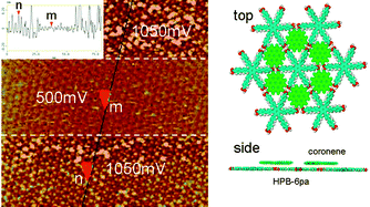 Graphical abstract: Heterogeneous bilayer molecular structure at a liquid-solid interface