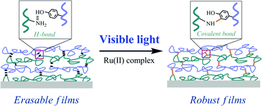 Graphical abstract: Fabrication of robust multilayer films by triggering the coupling reaction between phenol and primary amine groups with visible light irradiation