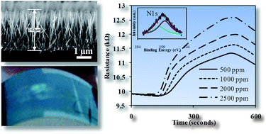 Graphical abstract: Ammonia plasma modification towards a rapid and low temperature approach for tuning electrical conductivity of ZnO nanowires on flexible substrates