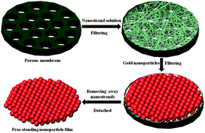 Graphical abstract: Ultrathin free-standing close-packed gold nanoparticle films: Conductivity and Raman scattering enhancement