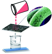 Graphical abstract: Surface modified electrospun poly(vinyl alcohol) membranes for extracting nanoparticles from water