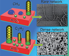 Graphical abstract: 3-Orders-of-magnitude density control of single-walled carbon nanotube networks by maximizing catalyst activation and dosing carbon supply