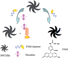 Graphical abstract: A novel fluorescent aptasensor based on single-walled carbon nanohorns