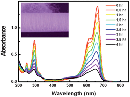 Graphical abstract: Well-aligned ZnO nanowires with excellent field emission and photocatalytic properties