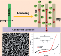 Graphical abstract: Single-crystalline Ni(OH)2 and NiO nanoplatelet arrays as supercapacitor electrodes