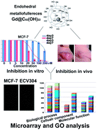 Graphical abstract: Epigenetic modulation of human breast cancer by metallofullerenol nanoparticles: in vivo treatment and in vitro analysis