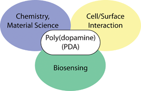 Graphical abstract: Polydopamine—a nature-inspired polymer coating for biomedical science