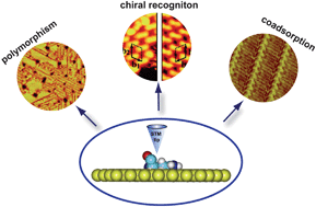 Graphical abstract: Interfacial self-assembly of amino acids and peptides: Scanning tunneling microscopy investigation