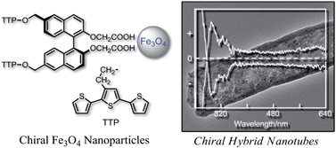 Graphical abstract: Synthesis of chiral hybrid nanotubes of magnetite nanoparticles and conducting polymers