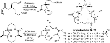 Graphical abstract: Concise synthesis of the C-1–C-12 fragment of amphidinolides T1–T5