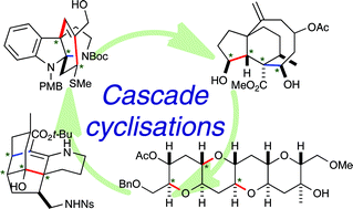 Graphical abstract: Cascade polycyclisations in natural product synthesis