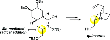 Graphical abstract: Intermolecular radical addition to N-acylhydrazones as a stereocontrol strategy for alkaloid synthesis: formal synthesis of quinine