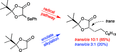 Graphical abstract: Diastereoselective radical mediated alkylation of a chiral glycolic acid derivative