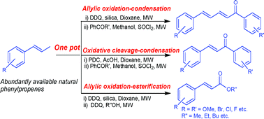 Graphical abstract: Tandem allylic oxidation–condensation/esterification catalyzed by silica gel: an expeditious approach towards antimalarial diaryldienones and enones from natural methoxylated phenylpropenes