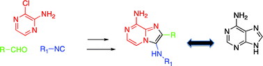 Graphical abstract: Groebke multicomponent reaction and subsequent nucleophilic aromatic substitution for a convenient synthesis of 3,8-diaminoimidazo[1,2-a]pyrazines as potential kinase inhibitors