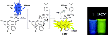 Graphical abstract: A ratiometric fluorescent probe for cyanide based on FRET