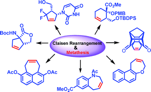 Graphical abstract: A synergistic approach to polycyclics via a strategic utilization of Claisen rearrangement and olefin metathesis