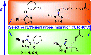 Graphical abstract: Sigmatropic rearrangements in 5-allyloxytetrazoles