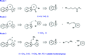 Graphical abstract: The synthesis of novel heteroaryl-fused 7,8,9,10-tetrahydro-6H-azepino[1,2-a]indoles, 4-oxo-2,3-dihydro-1H-[1,4]diazepino[1,7-a]indoles and 1,2,4,5-tetrahydro-[1,4]oxazepino[4,5-a]indoles. Effective inhibitors of HCV NS5B polymerase