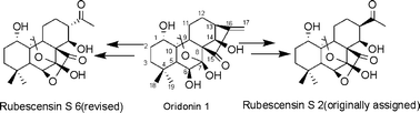 Graphical abstract: Synthesis and revision of stereochemistry of rubescensin S
