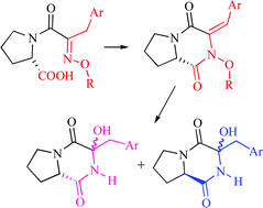 Graphical abstract: Stereoselective synthesis and rearrangement-fragmentation of arylidene N-alkoxydiketopiperazines