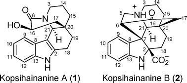 Graphical abstract: Kopsihainanines A and B, two unusual alkaloids from Kopsia hainanensis