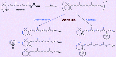 Graphical abstract: Laser flash photolysis study on the retinol radical cation in polar solvents