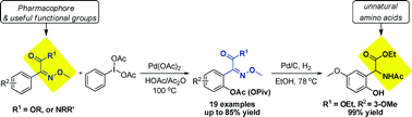 Graphical abstract: Palladium-catalyzed C–H acetoxylation of 2-methoxyimino-2-aryl-acetates and acetamides