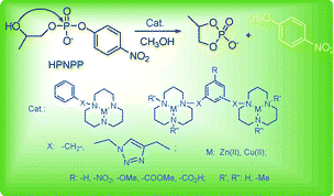 Graphical abstract: Synthesis of mono- and di-[12]aneN3 ligands and study on the catalytic cleavage of RNA model 2-hydroxypropyl-p-nitrophenyl phosphate with their metal complexes