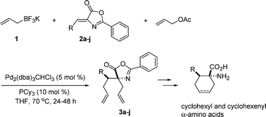 Graphical abstract: Amphiphilic allylation of arylidene-1,3-oxazol-5(4H)-one using bis-π-allylpalladium complexes: an approach to synthesis of cyclohexyl and cyclohexenyl α-amino acids
